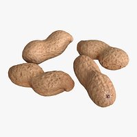 Peanuts Unshelled Double Pod