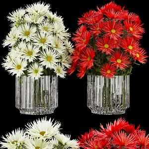 Collection plant vol 115 - aster - flower 3D model