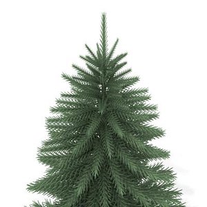max pine tree