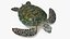3D Turtles Collection 6