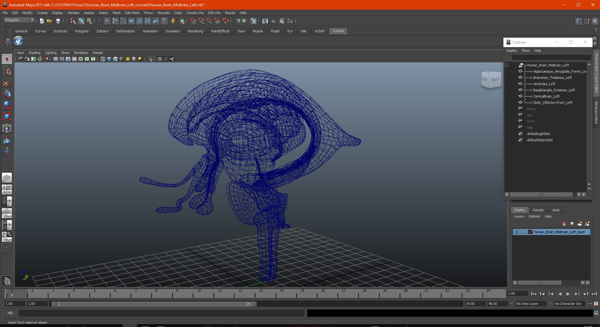 human brain midbrain left 3D model https://p.turbosquid.com/ts-thumb/Cr/T8UjzJ/1rCUEhPk/humanbrainmidbrainleftc4dmodel019/jpg/1572526217/1920x1080/fit_q87/49a86506198908964d13db71d83256a964a17135/humanbrainmidbrainleftc4dmodel019.jpg