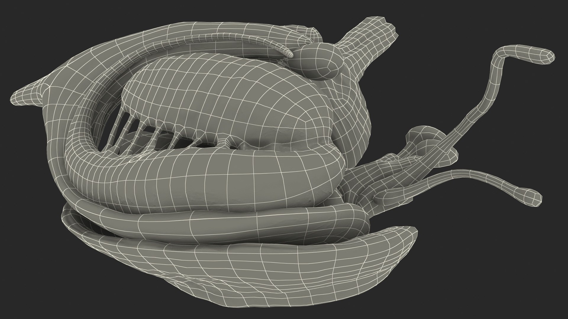 human brain midbrain left 3D model https://p.turbosquid.com/ts-thumb/Cr/T8UjzJ/CEx0vtd8/humanbrainmidbrainleftc4dmodel023/jpg/1572526235/1920x1080/fit_q87/382e25885094a8dfffbdb711c90664242b0a33bb/humanbrainmidbrainleftc4dmodel023.jpg