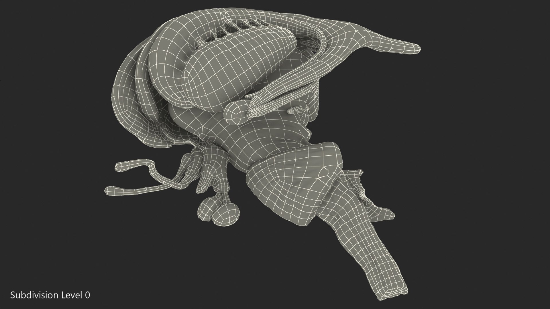 human brain midbrain left 3D model https://p.turbosquid.com/ts-thumb/Cr/T8UjzJ/Mb5wYqFo/humanbrainmidbrainleftc4dmodel015/jpg/1572526198/1920x1080/fit_q87/6bdce41d9d85d73505f45e993424516b3f8f3b91/humanbrainmidbrainleftc4dmodel015.jpg