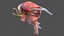Human Brain Midbrain Left