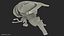 Human Brain Midbrain Left