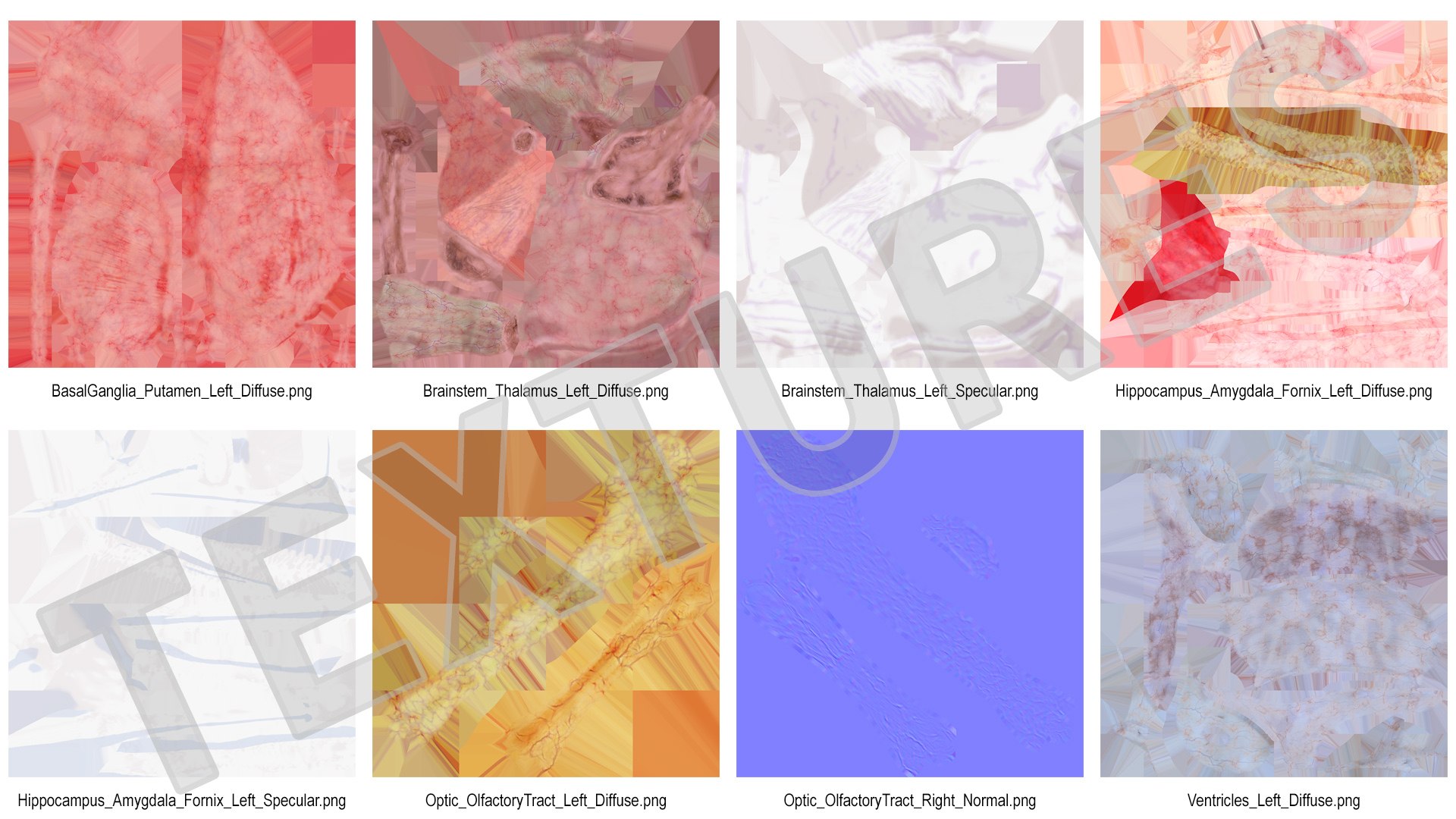human brain midbrain left 3D model https://p.turbosquid.com/ts-thumb/Cr/T8UjzJ/ZSFGGA73/humanbrainmidbrainleftc4dmodel018/jpg/1572526212/1920x1080/fit_q87/15df65442bd6afe88a733437c28aaab28a069a3b/humanbrainmidbrainleftc4dmodel018.jpg