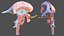 Human Brain Midbrain Left