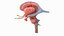 Human Brain Midbrain Left