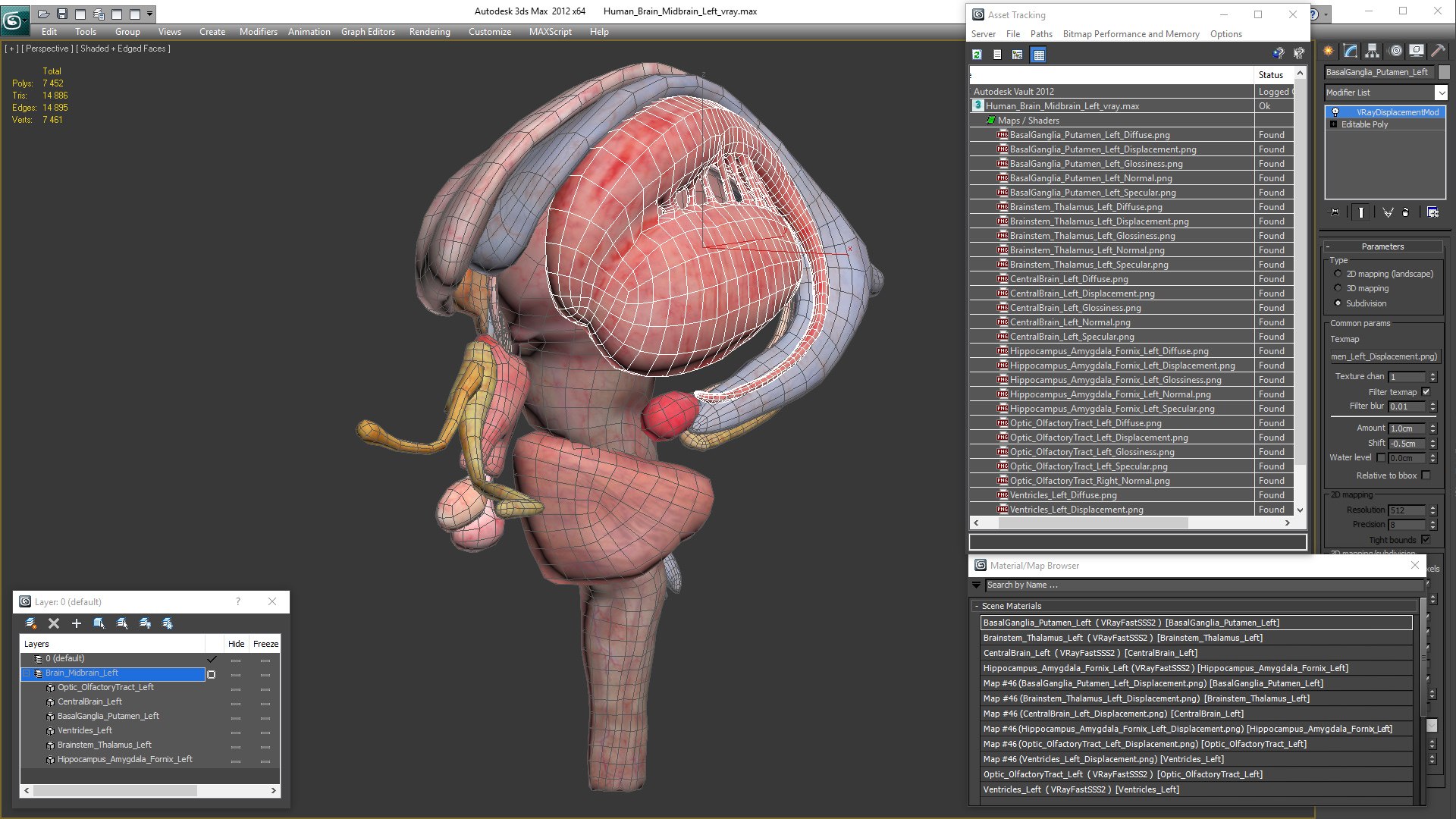 human brain midbrain left 3D model https://p.turbosquid.com/ts-thumb/Cr/T8UjzJ/hr3Rli3q/humanbrainmidbrainleftc4dmodel021/jpg/1572526226/1920x1080/fit_q87/bb67682dedc2bc04c2a39df50212602f65767e58/humanbrainmidbrainleftc4dmodel021.jpg