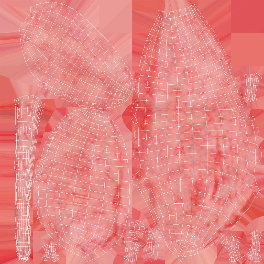 human brain midbrain left 3D model https://p.turbosquid.com/ts-thumb/Cr/T8UjzJ/jRnIYcRz/humanbrainmidbrainleftc4dmodel017/jpg/1572526207/1920x1080/fit_q87/72abe9c777554eebe89d4fa4c96ef88542572e9b/humanbrainmidbrainleftc4dmodel017.jpg