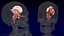 Human Brain Midbrain Left