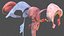 Human Brain Midbrain Left
