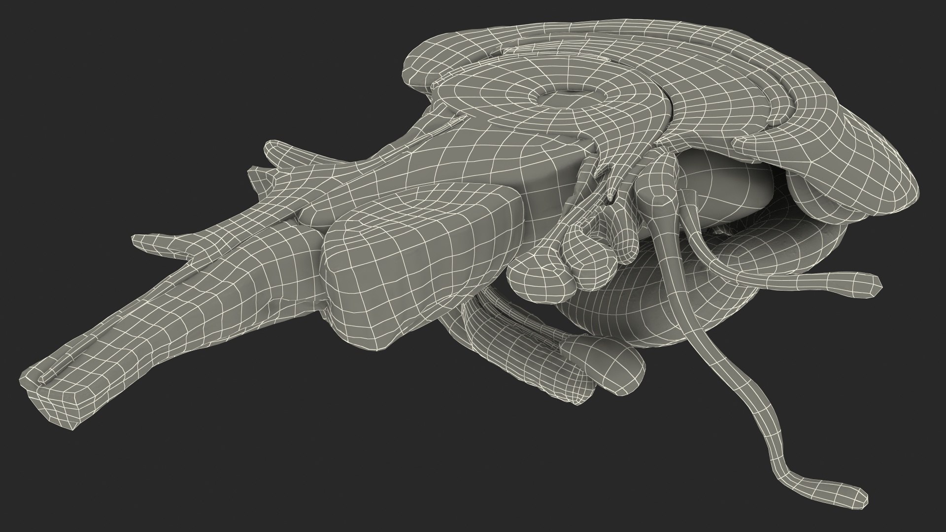 human brain midbrain left 3D model https://p.turbosquid.com/ts-thumb/Cr/T8UjzJ/yxprQUlV/humanbrainmidbrainleftc4dmodel022/jpg/1572526230/1920x1080/fit_q87/04299a9c2eacdc0e964e3d3f5383d7cce9cd9fb9/humanbrainmidbrainleftc4dmodel022.jpg