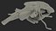 Human Brain Midbrain Left
