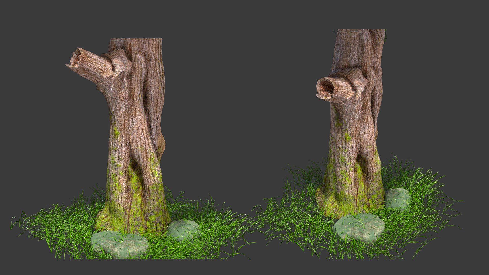 Tree Forest Plant 3D https://p.turbosquid.com/ts-thumb/Cr/Ue2EVc/Tc/d5/png/1652526846/1920x1080/fit_q87/e4f291f7b559230652328dda8e0812f8bfba33bc/d5.jpg