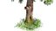 Tree Forest Plant