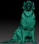 Golden retriever dog 23