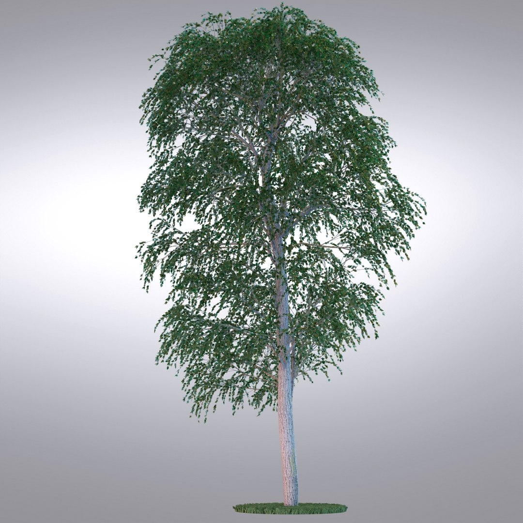 Hi Realistic Series Tree 3d Model