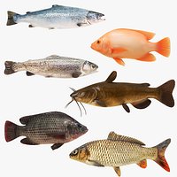 Freshwater Species Fish  6 in 1