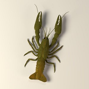 crayfish
