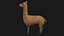 Alpaca Llama Collection rigged low poly
