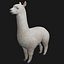 Alpaca Llama Collection rigged low poly