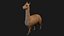 Alpaca Llama Collection rigged low poly