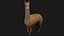 Alpaca Llama Collection rigged low poly