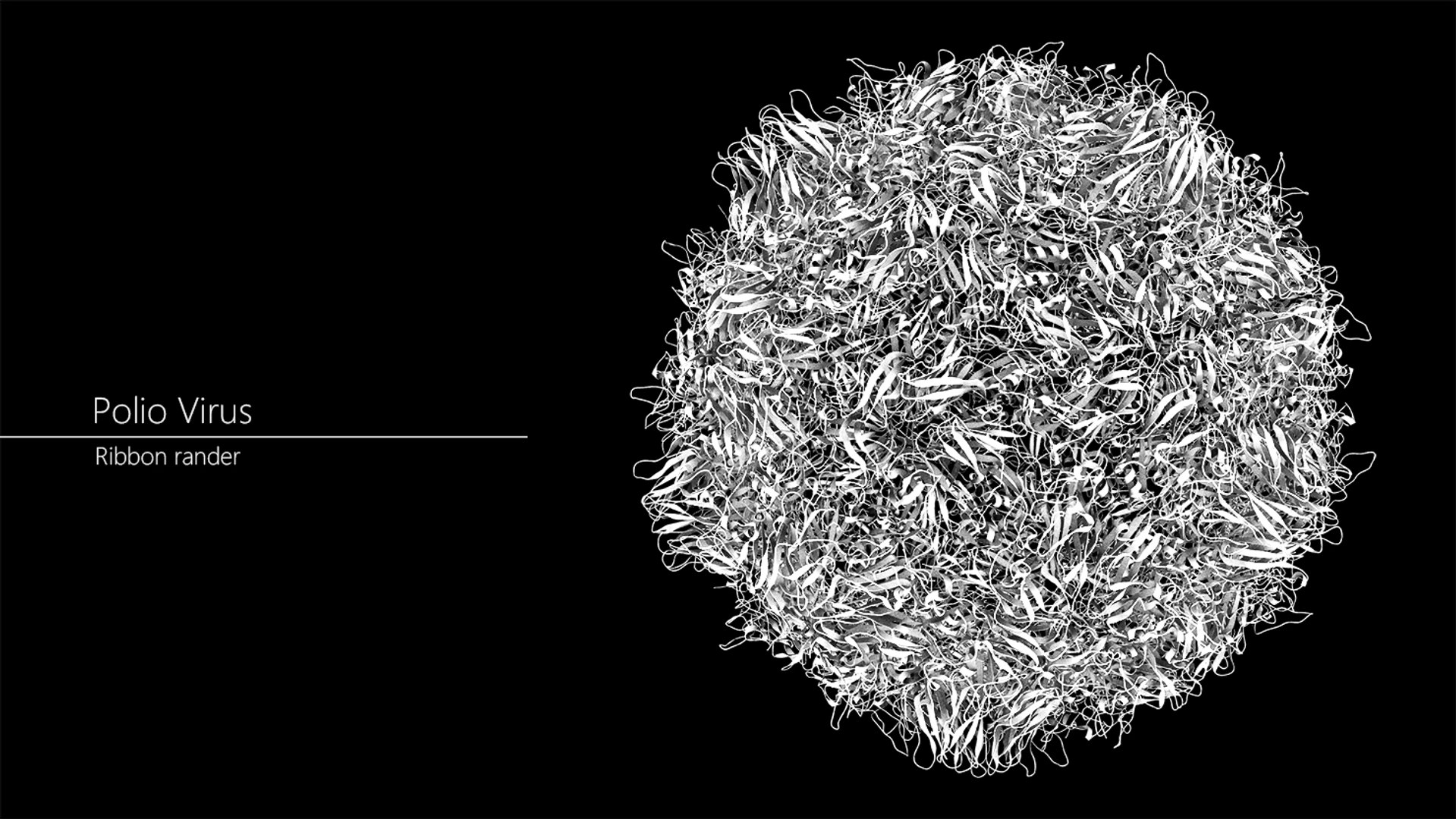 3D Scientifically Accurate Structure Polio - TurboSquid 1355456