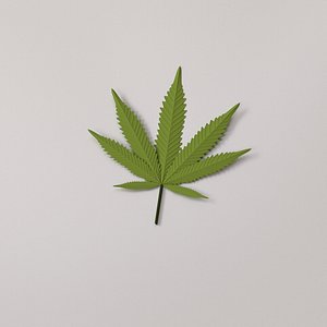 cannabis leaf 3D