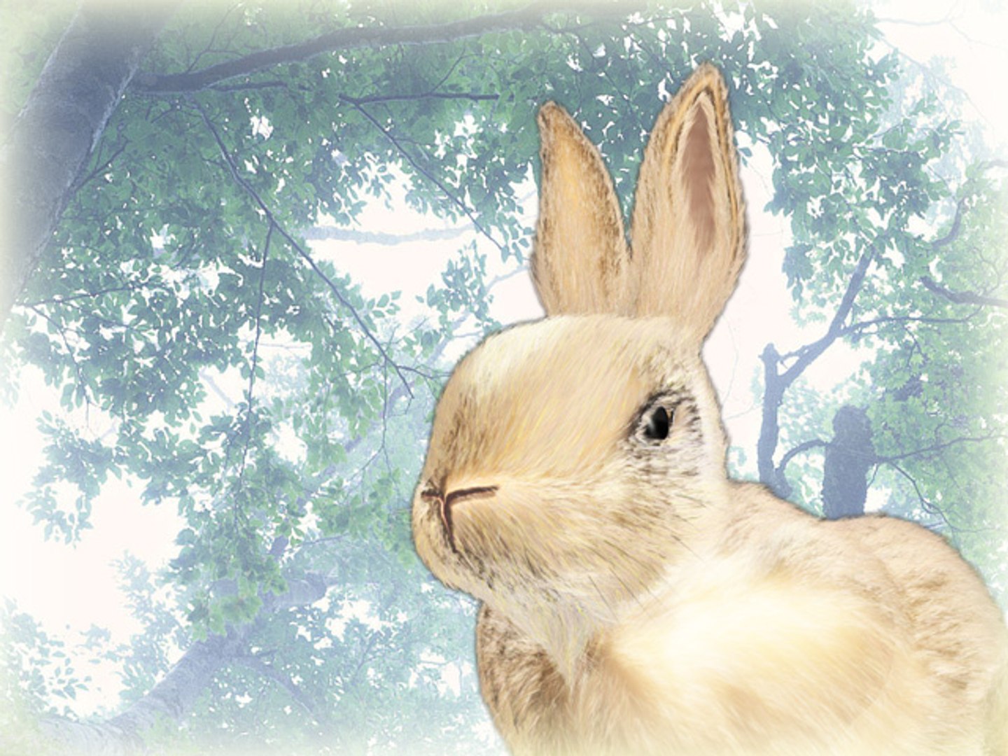 Cute Rabbit Bunny Easter 3d Model