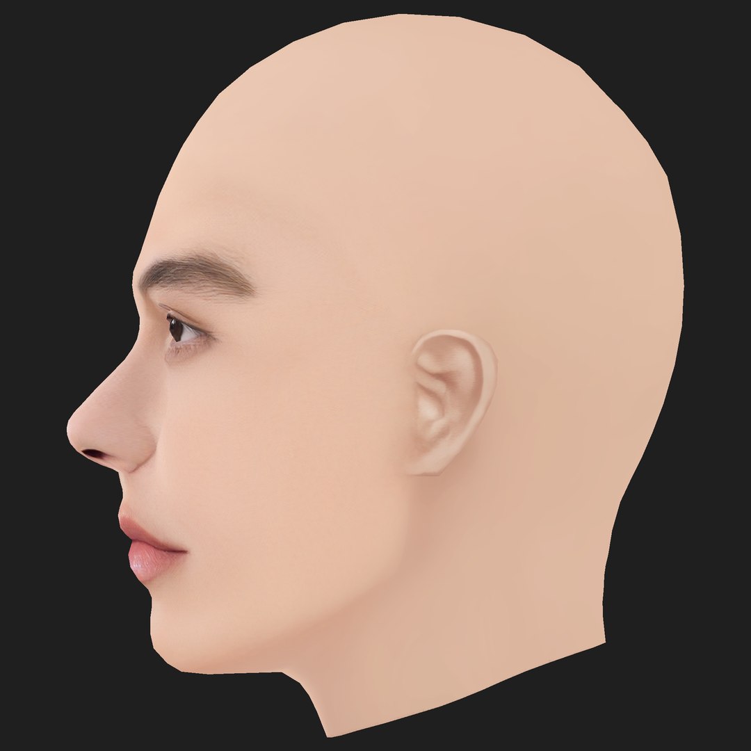 3D Low Poly Bright Vachirawit Head model https://p.turbosquid.com/ts-thumb/Cs/LaZgDW/LA/03/png/1787280812/1920x1080/fit_q87/af81bb69206e9755ab0860a82f171bc875ee065c/03.jpg