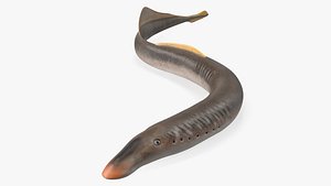 Lamprey Motion pose