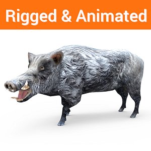 Wild Boar game ready Rigged And Animated