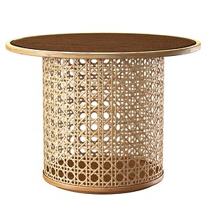 3D Viliam rattan dining table DR10 model