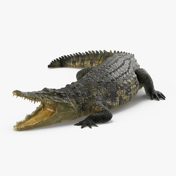 3d crocodile rigged