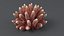 Acropora Coral S 03 3D