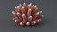 Acropora Coral S 03 3D