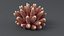 Acropora Coral S 03 3D