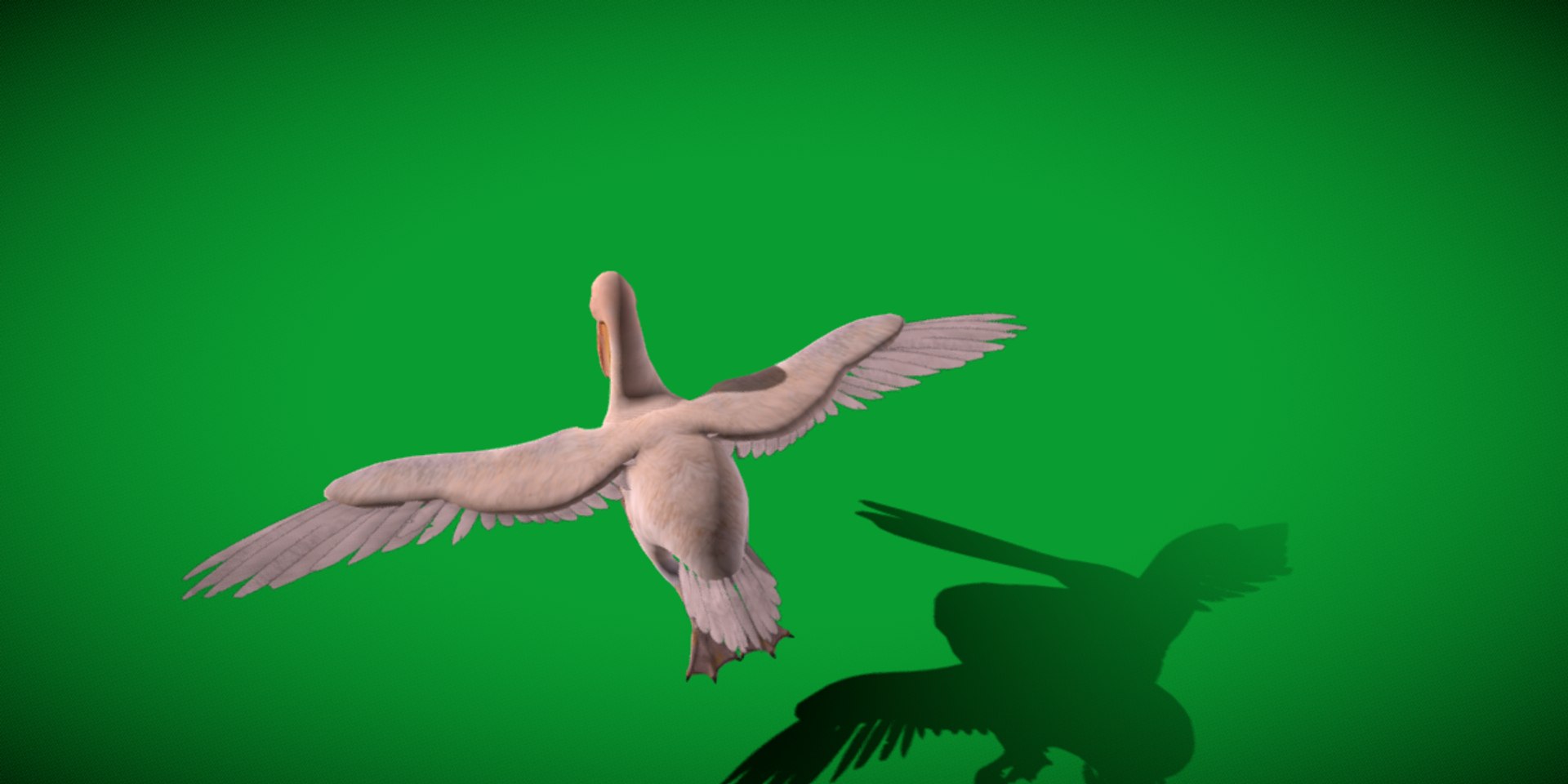 Pelican Bird 3D model https://p.turbosquid.com/ts-thumb/Cs/whntY2/Ad/pelican_birds25/png/1740066134/1920x1080/fit_q87/5d1865b4f41e905dc58d5a56f7c97a645212d02d/pelican_birds25.jpg