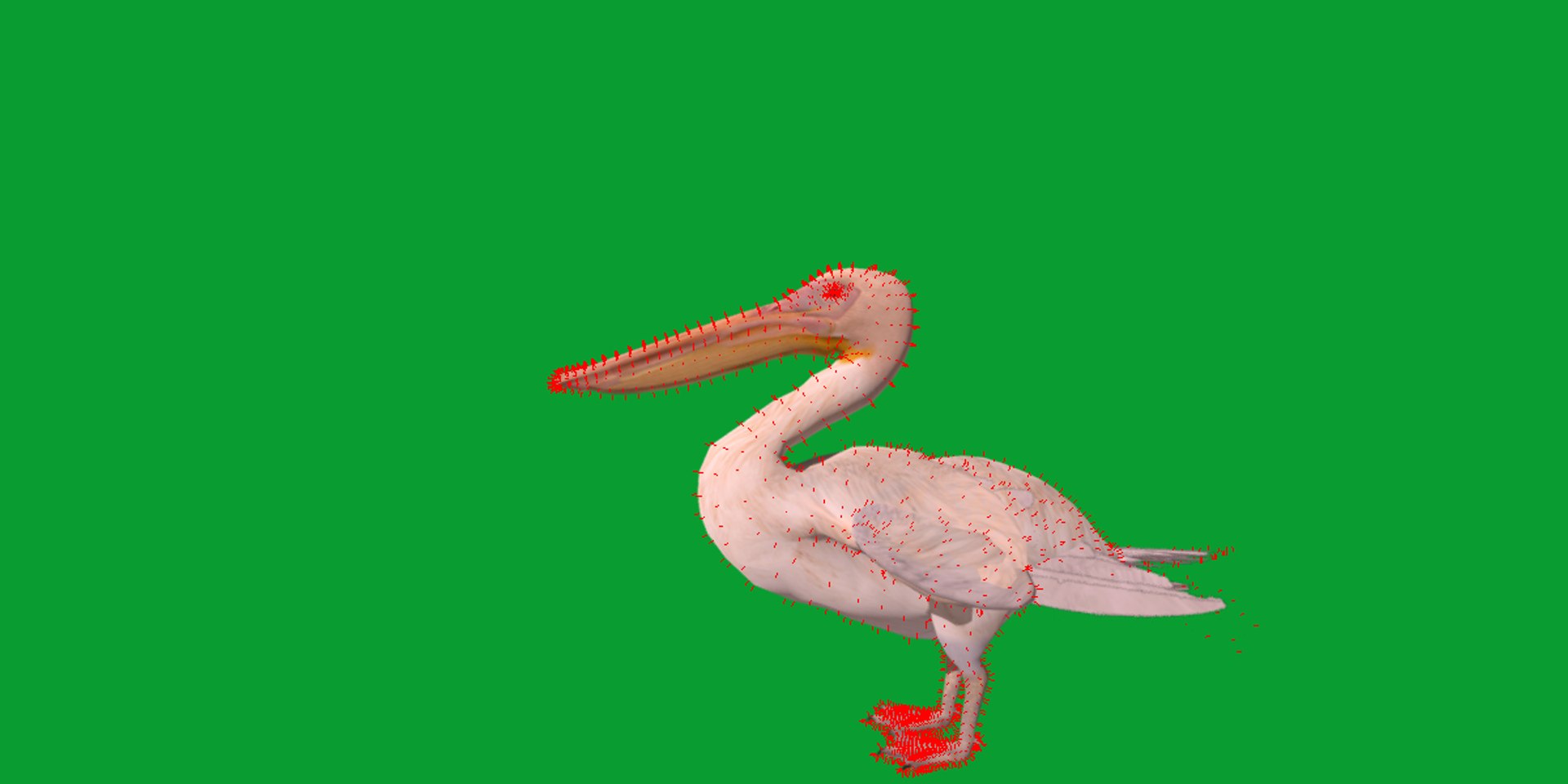 Pelican Bird 3D model https://p.turbosquid.com/ts-thumb/Cs/whntY2/Ud/pelican_birds21/png/1740066131/1920x1080/fit_q87/4f4e2a56158acdbc5b877832125a93acf587de2f/pelican_birds21.jpg