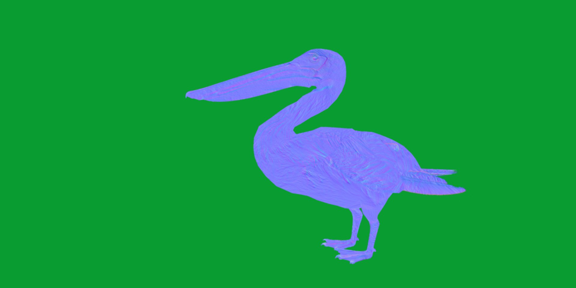 Pelican Bird 3D model https://p.turbosquid.com/ts-thumb/Cs/whntY2/VD/pelican_birds12/png/1740066124/1920x1080/fit_q87/134490a68d37873065cf9fd3ac2de0b70e0f18d1/pelican_birds12.jpg