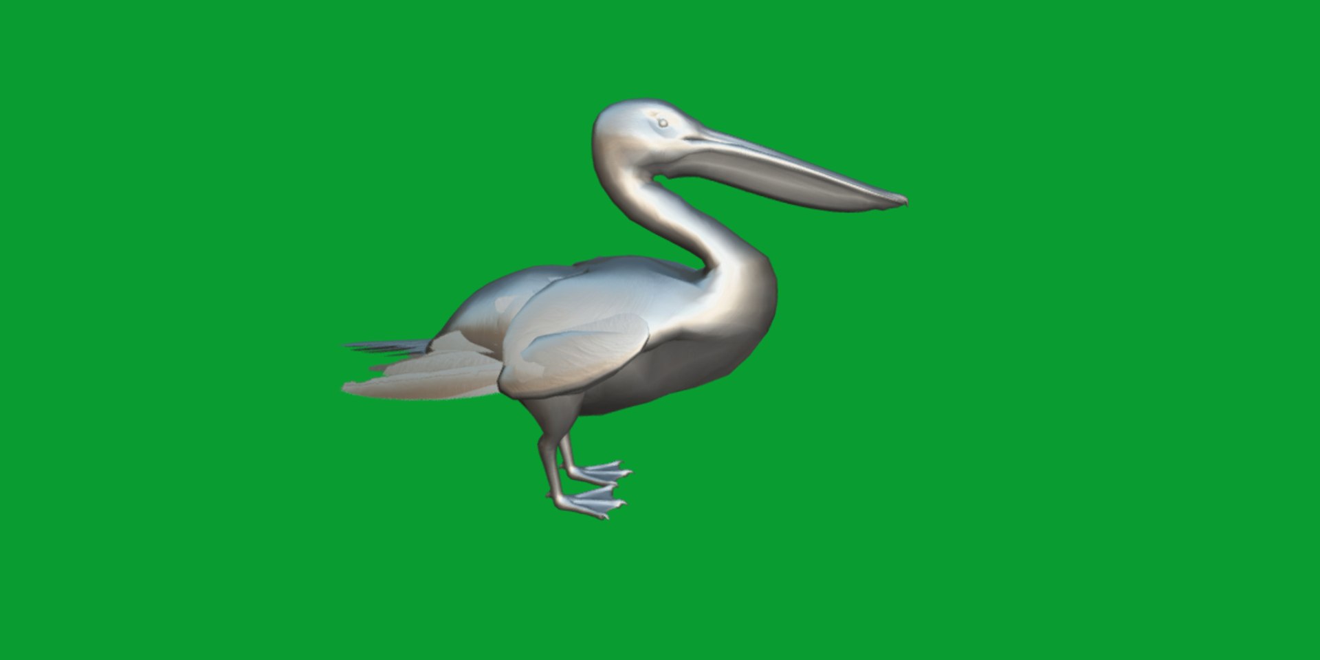 Pelican Bird 3D model https://p.turbosquid.com/ts-thumb/Cs/whntY2/Z0/pelican_birds17/png/1740066127/1920x1080/fit_q87/be692d5411bb886af79c99bc6c00650870ad1593/pelican_birds17.jpg