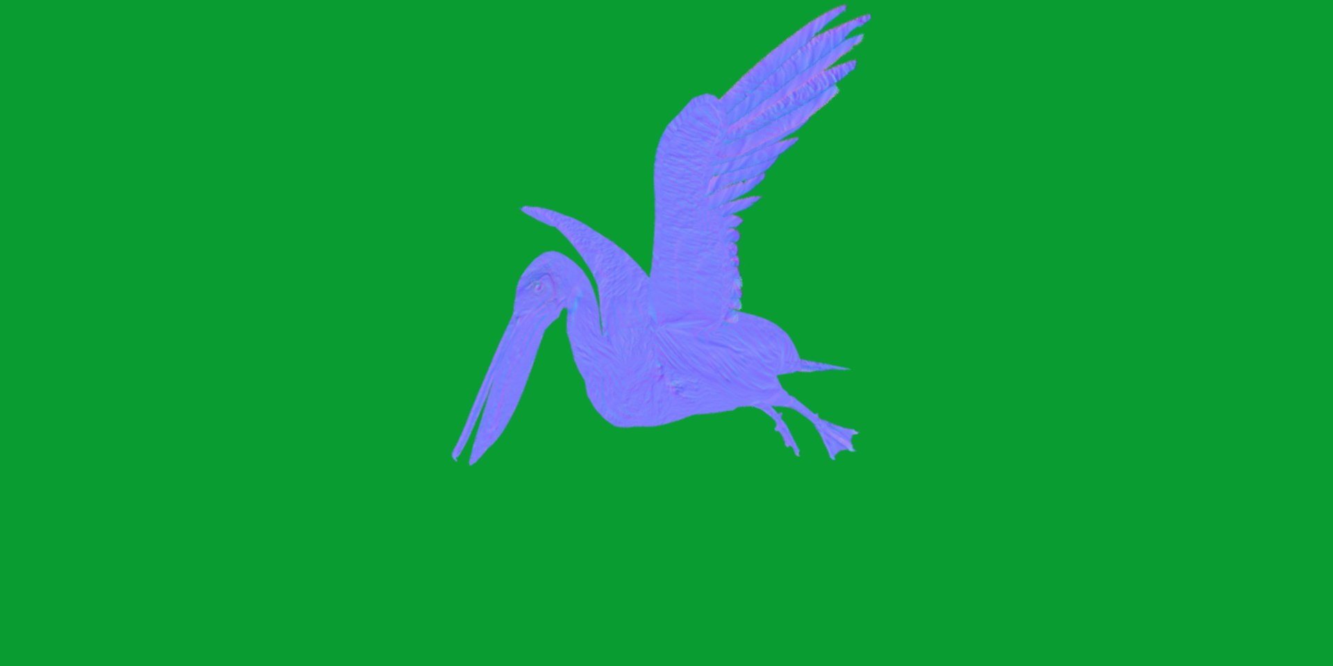 Pelican Bird 3D model https://p.turbosquid.com/ts-thumb/Cs/whntY2/ZI/pelican_birds11/png/1740066123/1920x1080/fit_q87/7a2d515beb47a68484e1c3adf9c7501e96d0b678/pelican_birds11.jpg