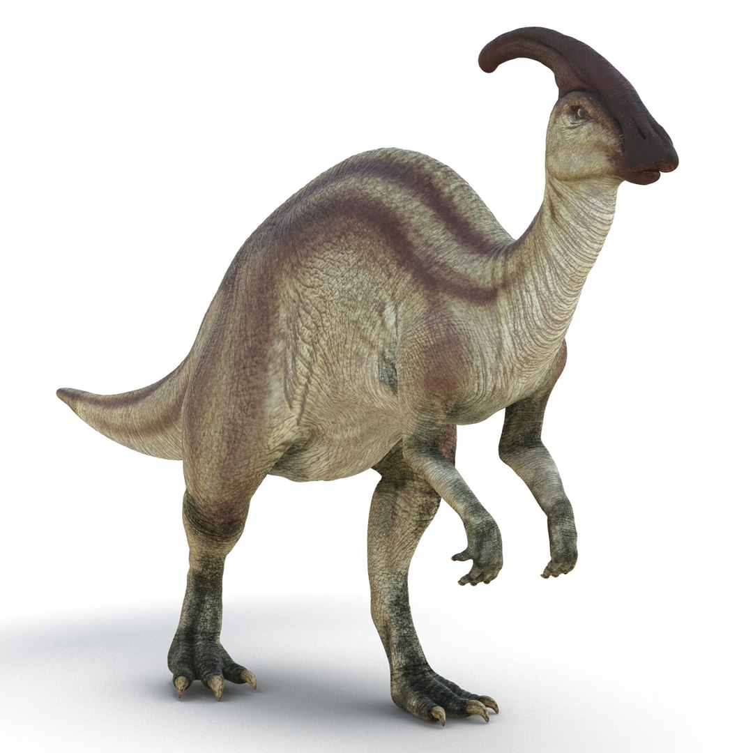 3d Model Parasaurolophus Rigged