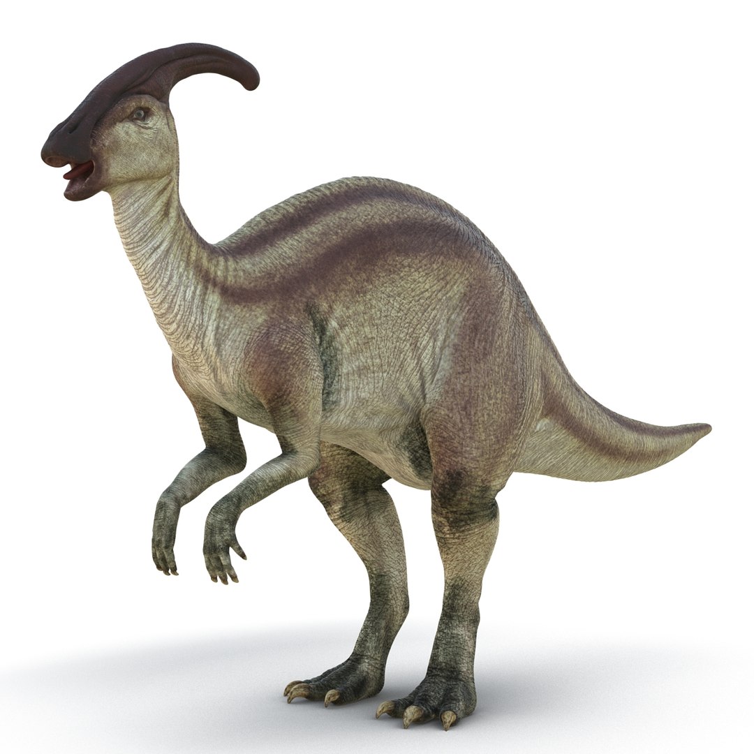 3d Model Parasaurolophus Rigged