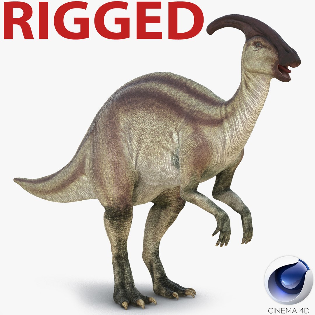 Parasaurolophus Rigged for Cinema 4D 3D model preview