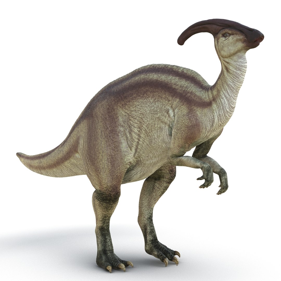 3d Model Parasaurolophus Rigged