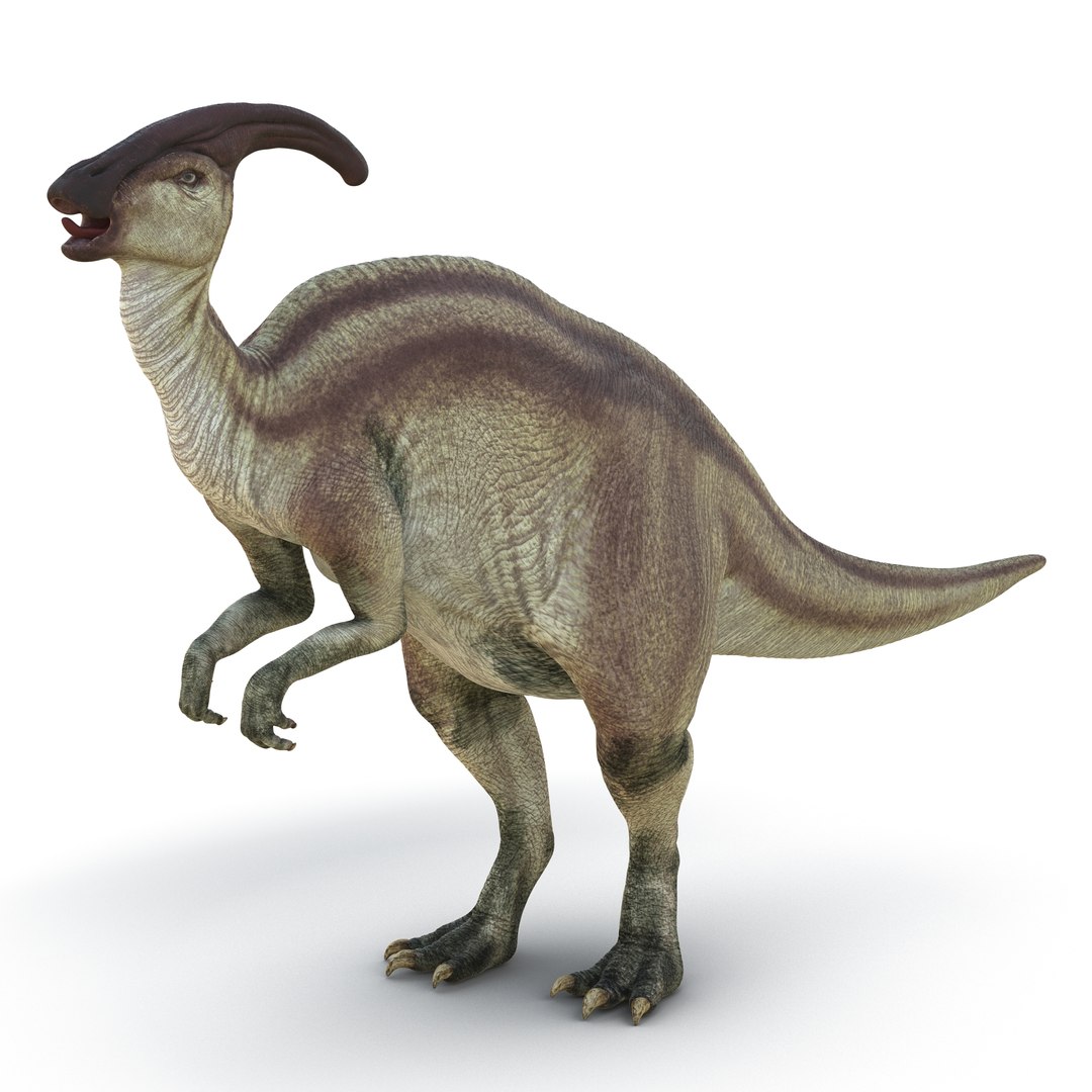 3d Model Parasaurolophus Rigged