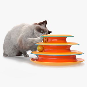 3D Ragdoll Cat Playing with Tower Track Toy Fur for Cinema 4D